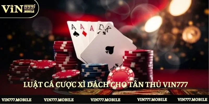 Hướng dẫn luật cá cược xì dách cho tân thủ VIN777