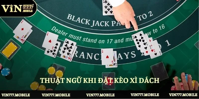 Thuật ngữ khi đặt kèo xì dách tại nền tảng cá cược